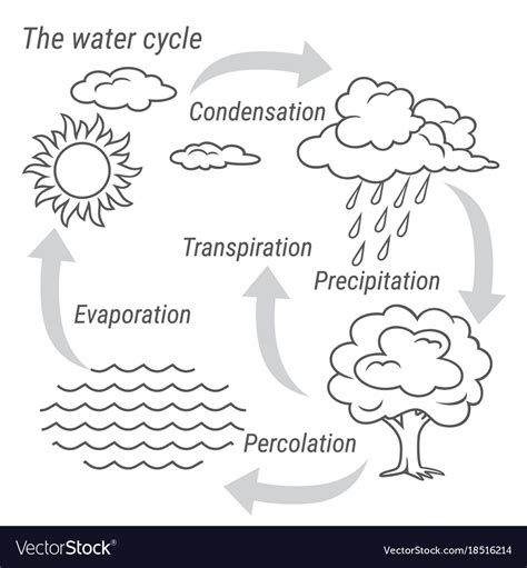 water cycle drawing black and white
